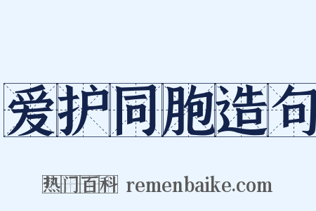 爱护同胞造句是什么意思的图片